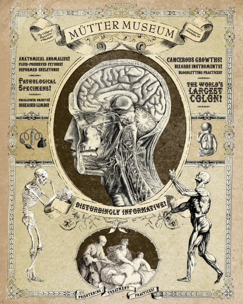 The Mütter Museum, established in Philadelphia, PA in 1858, contains the skeleton of conjoined twins Chang and Eng, as well as other medical anomalies, collected "to help the public understand the mysteries and beauty of the human body while appreciating the history of diagnosis and treatment of disease". Source: http://strangedaze.doomby.com/medias/images/post-2.jpg