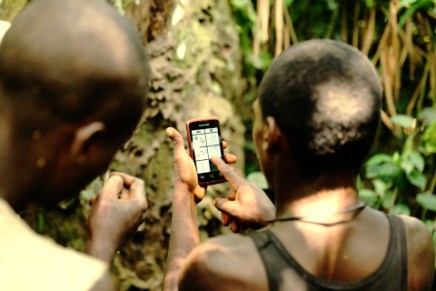 Mapping the rainforest? I’ve got an app for&nbsp;that.