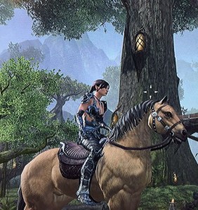 "Sweet Roll" Photo by Author