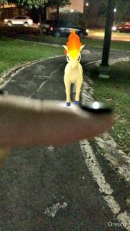 13692584_1056491264447590_3983416244956409107_n