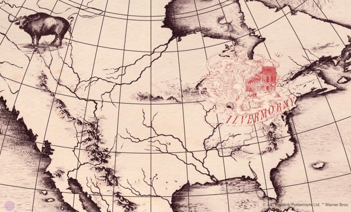 Ilvermorny, Wizards and Whatnot