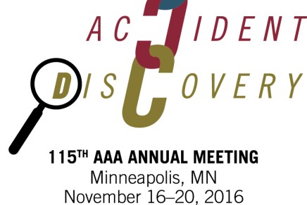 Postmortem and Possibilities: Reflections on AAA&nbsp;2016